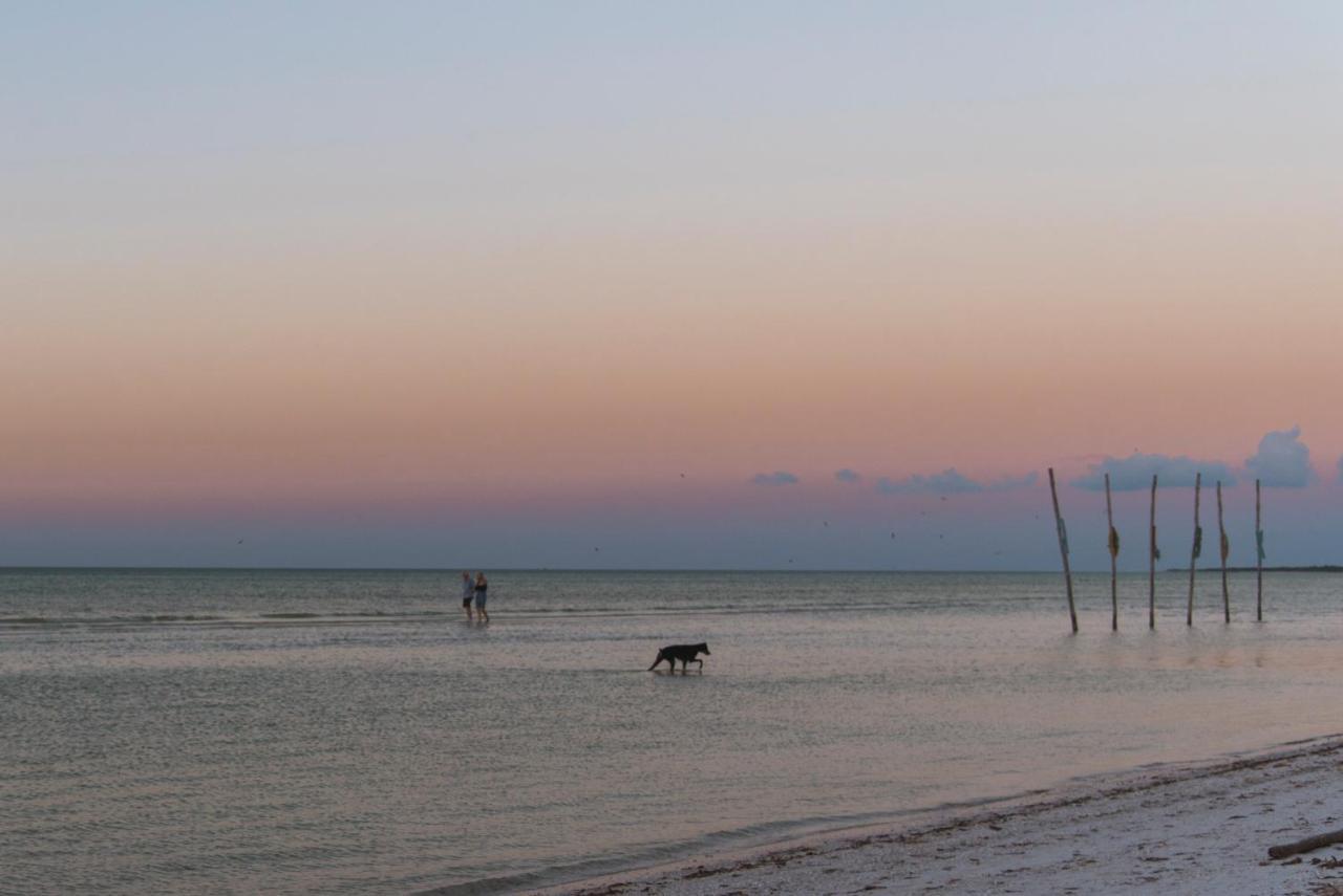 Blue Holbox Hotel Екстериор снимка